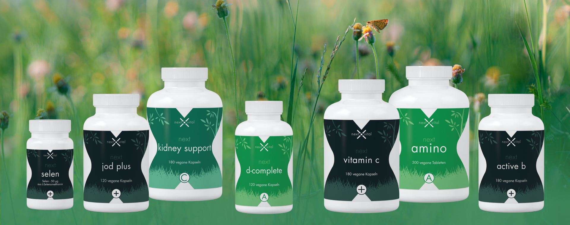 Supplements: Entdecke eine Welt voller Wohlbefinden