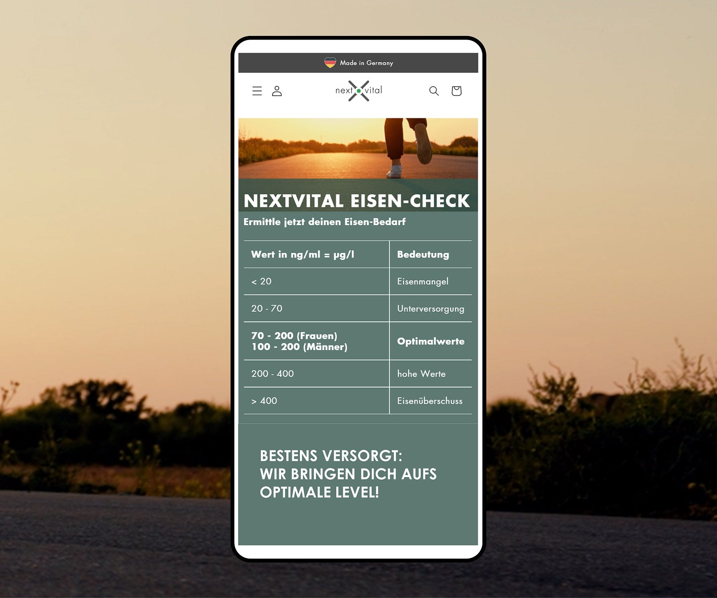 Jetzt entdecken: nextvital Eisen-Check