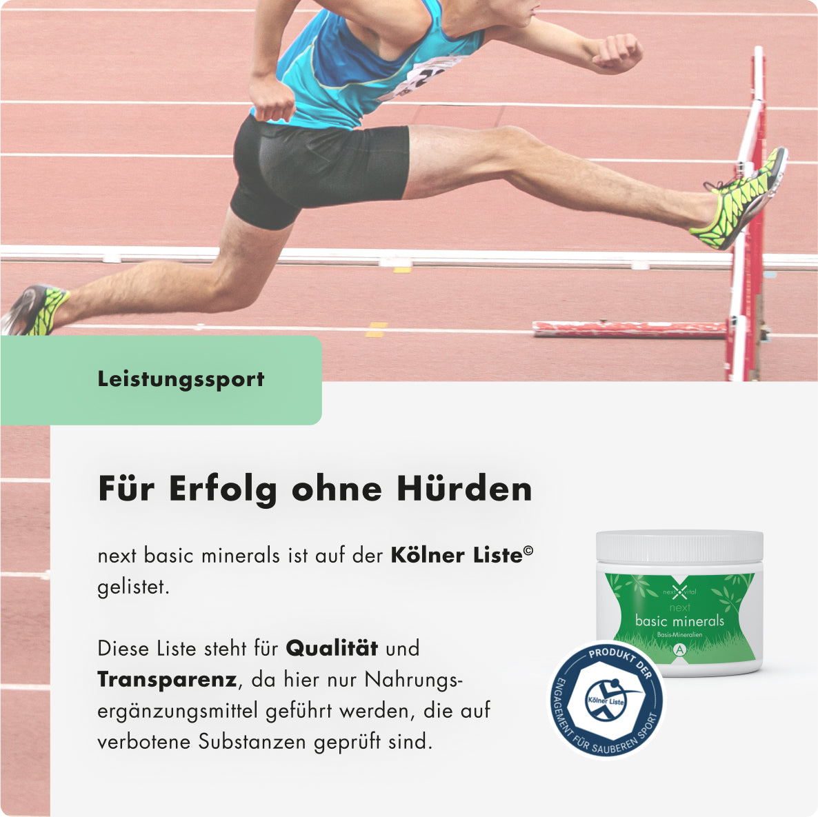 next basic minerals, 323 g