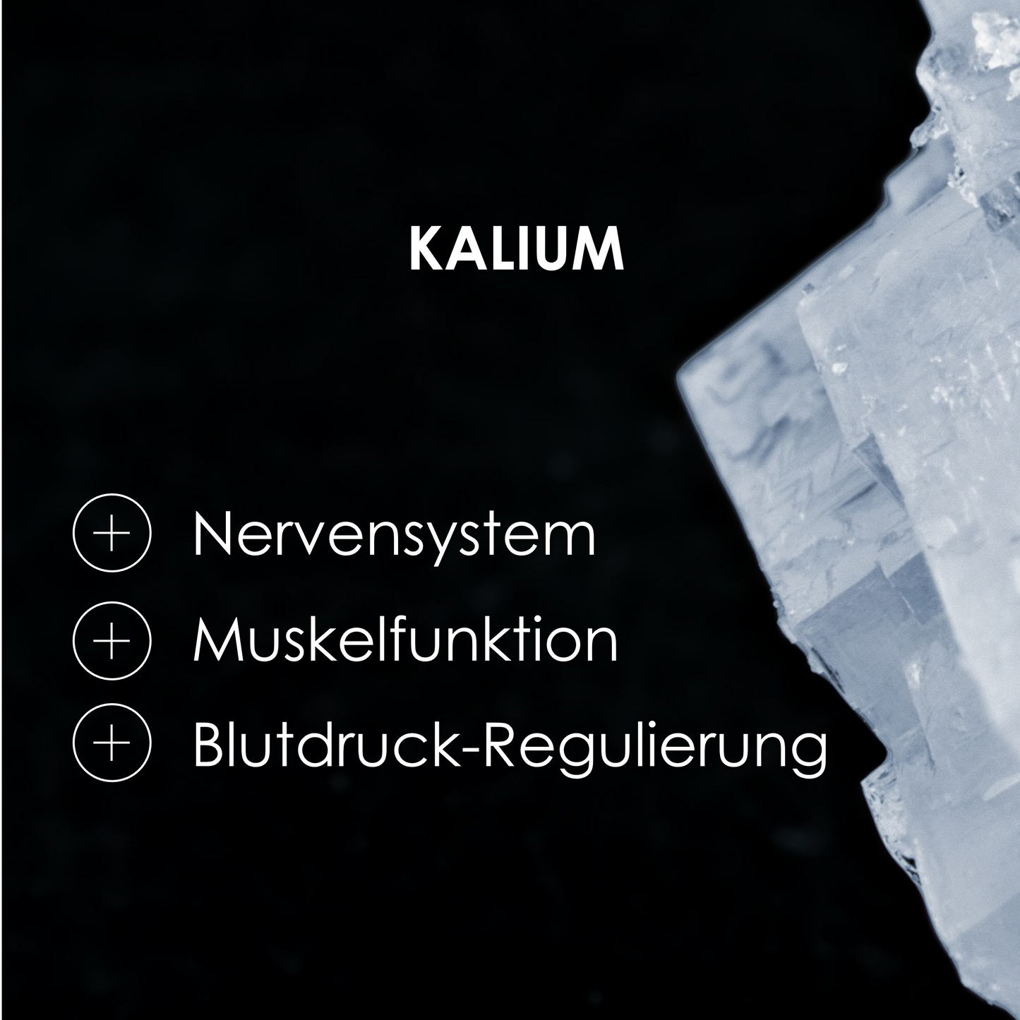 Kalium Funktionen