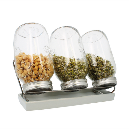 Eschenfelder Keimgläser 3er Set