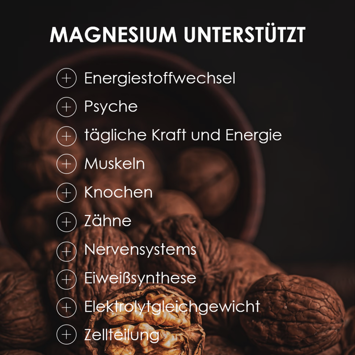 Magnesium unterstützt bei vielen Funktionen