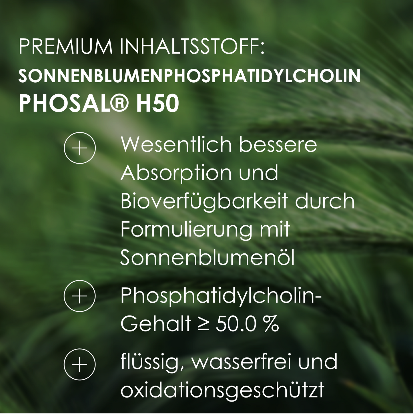 Premium Inhaltsstoff PS