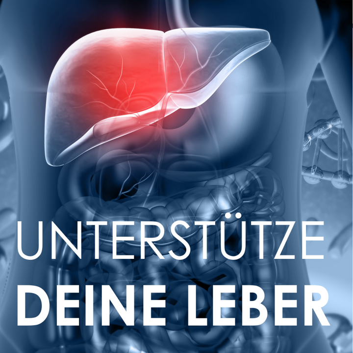 Unterstütze deine Leber