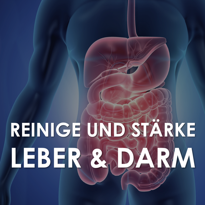 inner clean plus reinige und stärke leber und darm