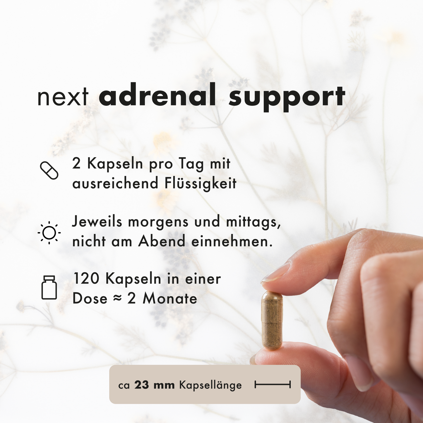 next adrenal support, 120 vegane Kapseln