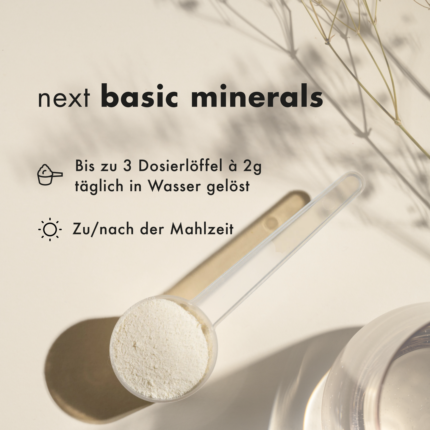 next basic minerals, 323 g
