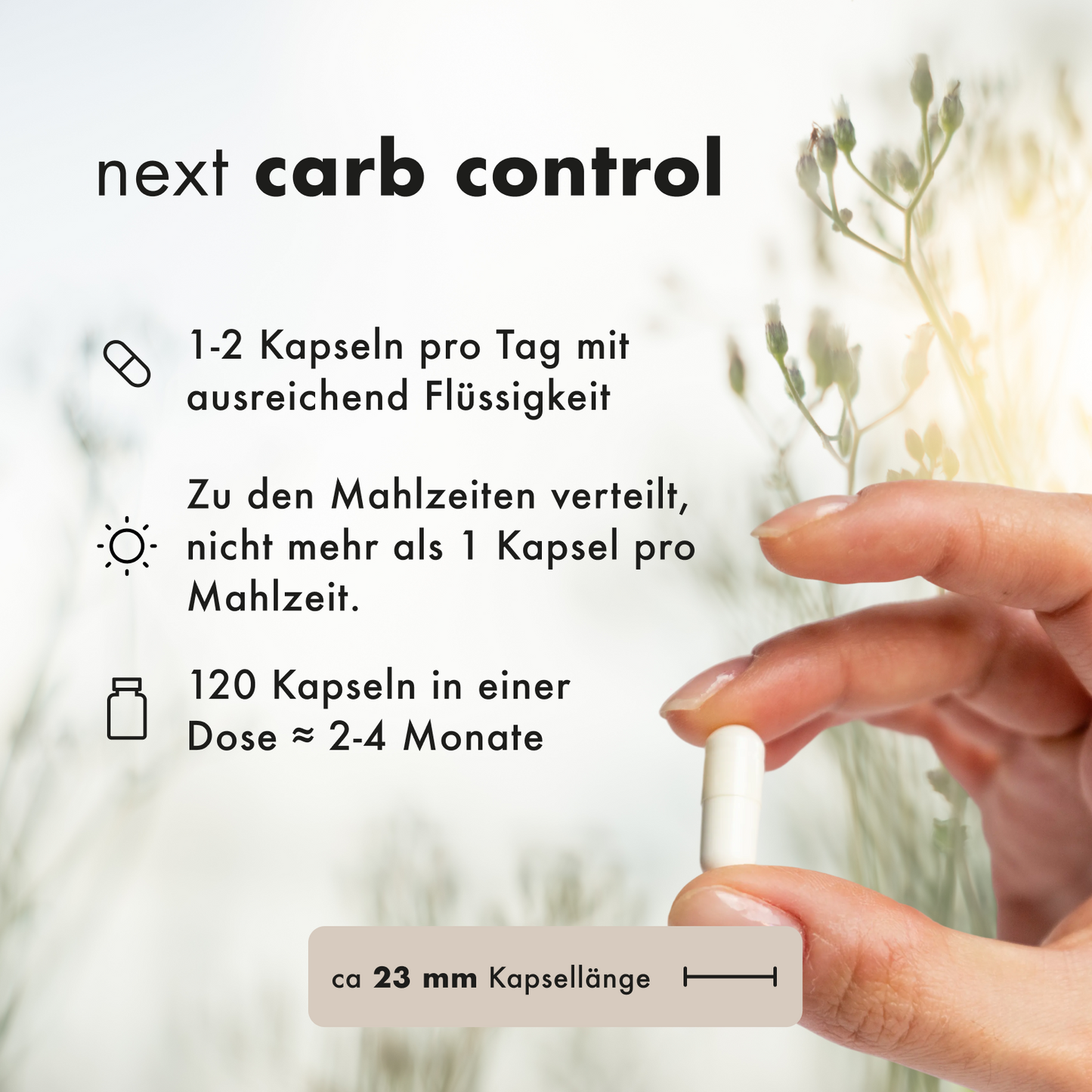 next carb control, 120 vegane Kapseln