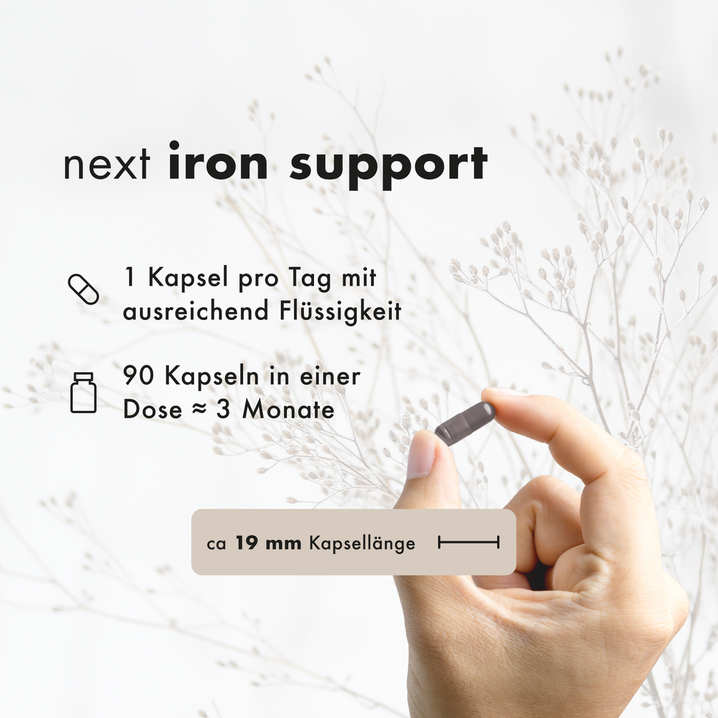 next iron support, 90 vegane Kapseln