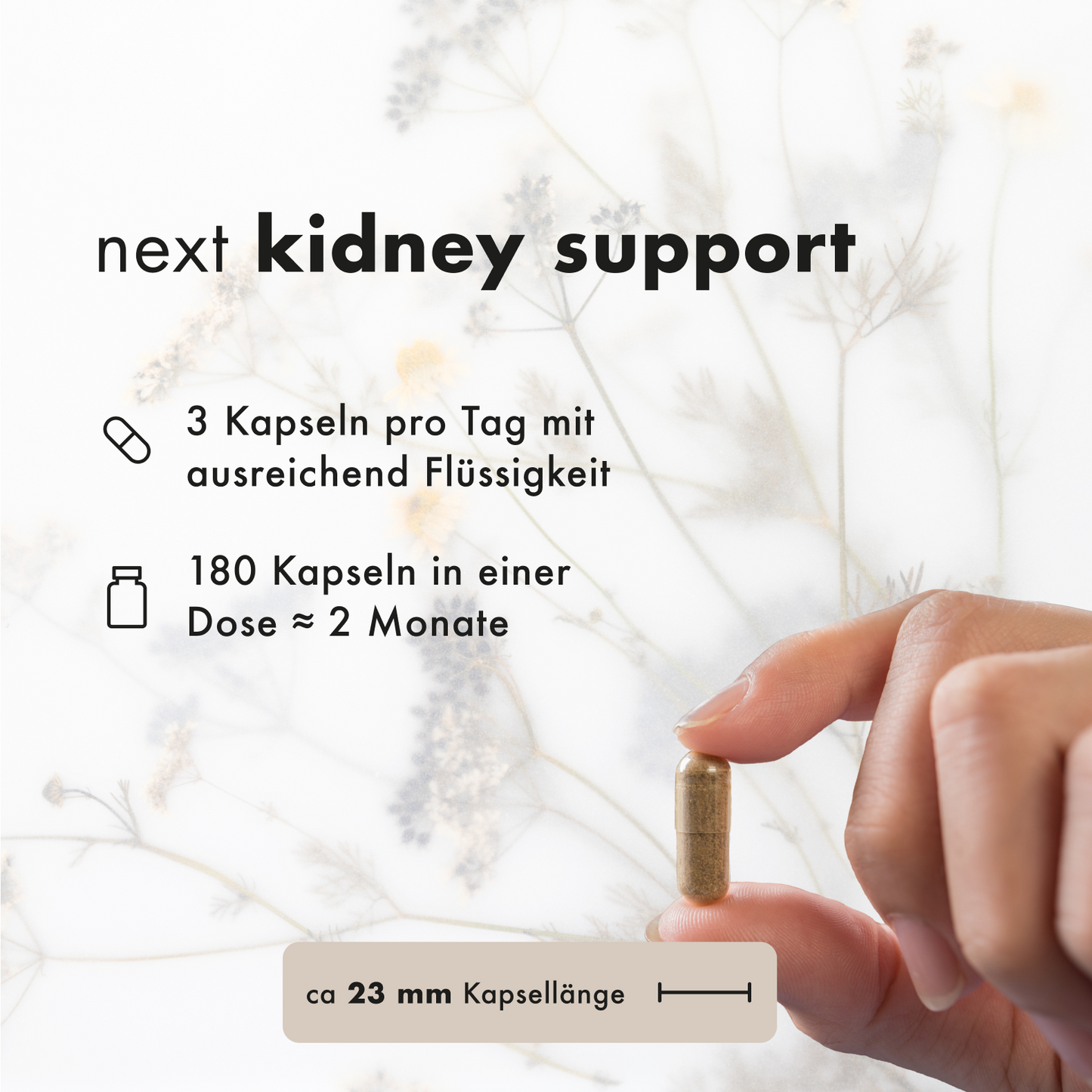 next kidney support, 180 vegane Kapseln