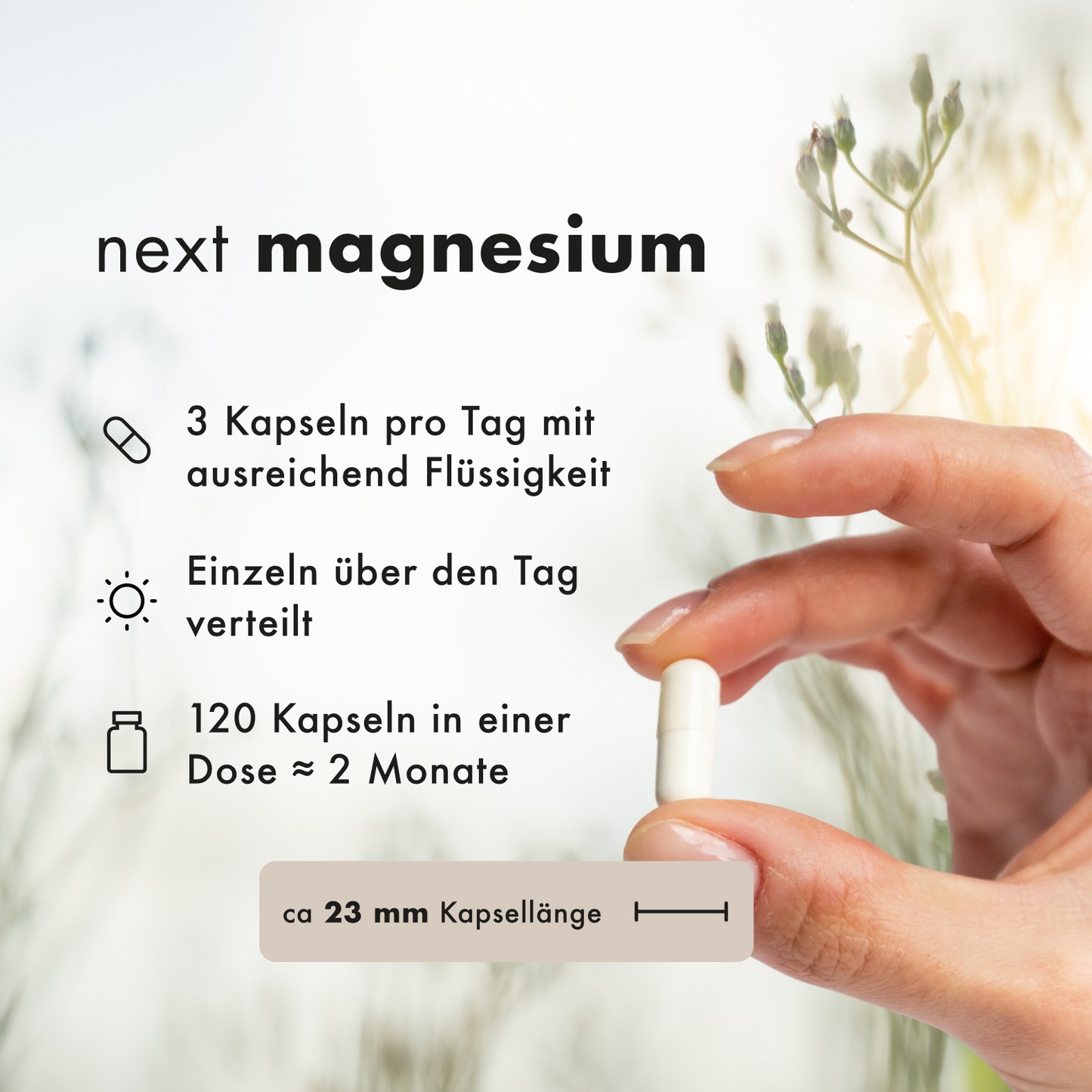 next magnesium, 120 vegane Kapseln