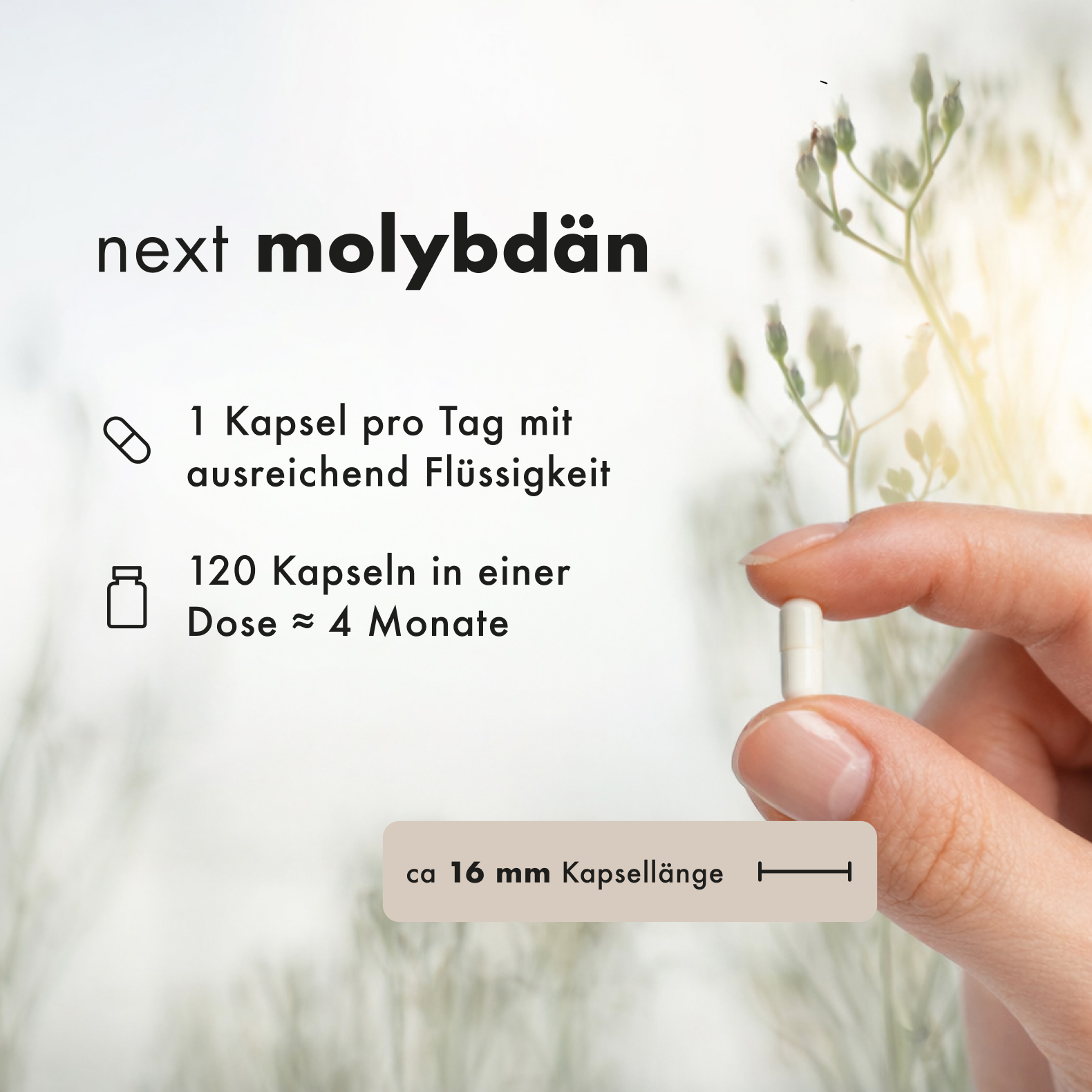 Molybdn 166 g reines Spurenelement | 120 vegane Kapseln | laborgeprfte Qualitt | Made in Germany nextvital Molybdn 166 g reines Spurenelement | 120 vegane Kapseln | laborgeprfte Qualitt | Made in Germany nextvital
