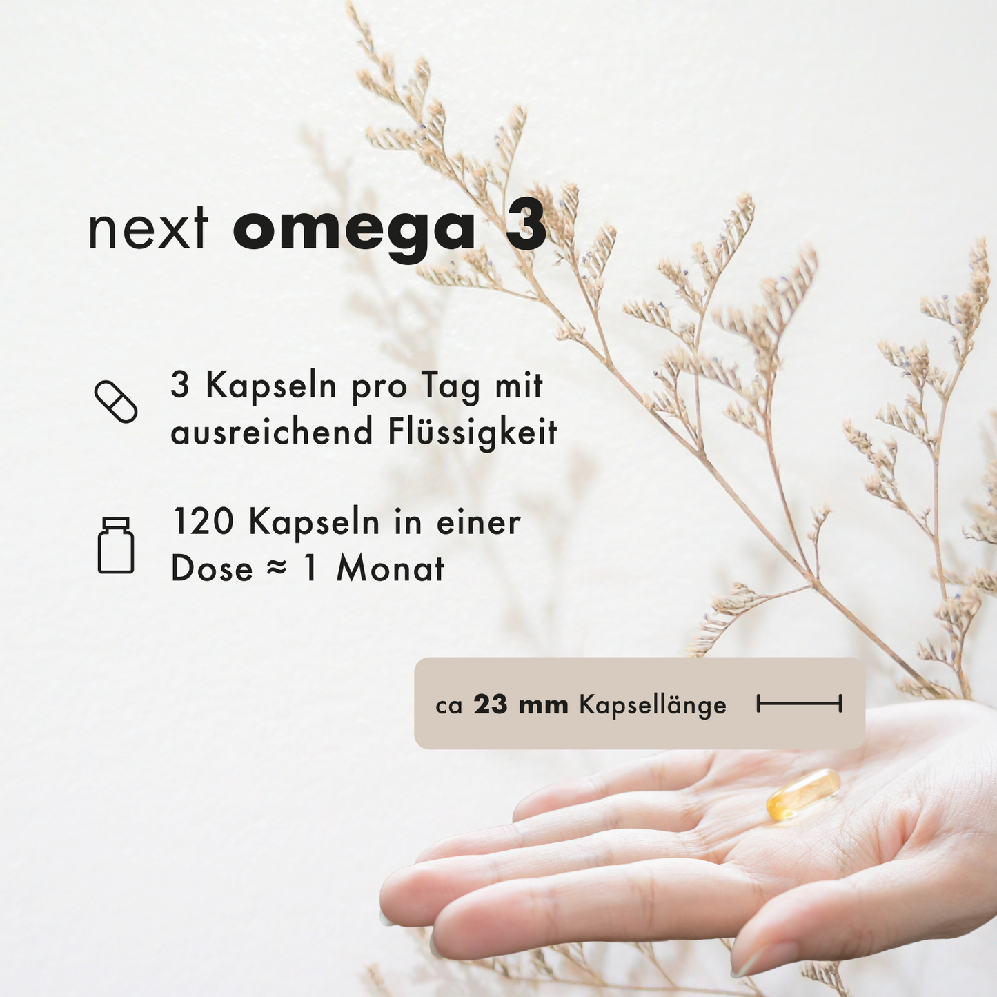next omega 3, 120 vegane Kapseln