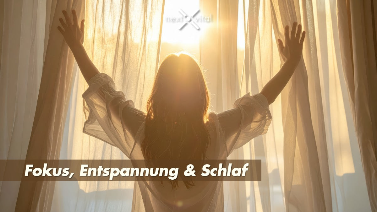 Unser Wissensprung: Fokus, Entspannung & Schlaf