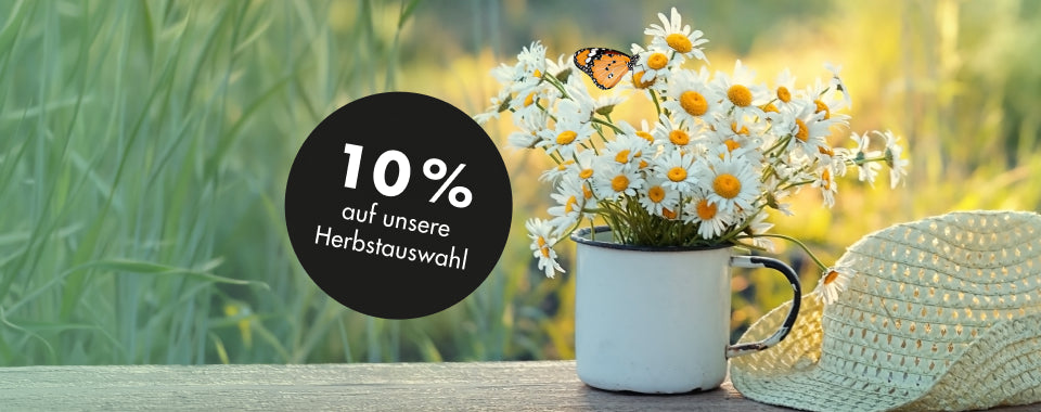 Bye Bye Sommer – Hallo Herbst