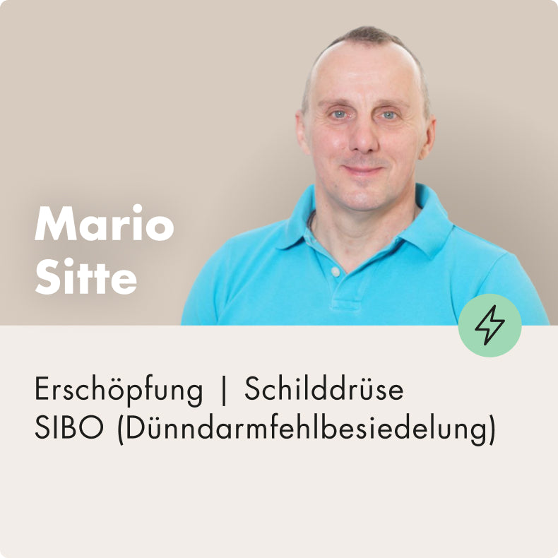 quick check up - Mario Sitte