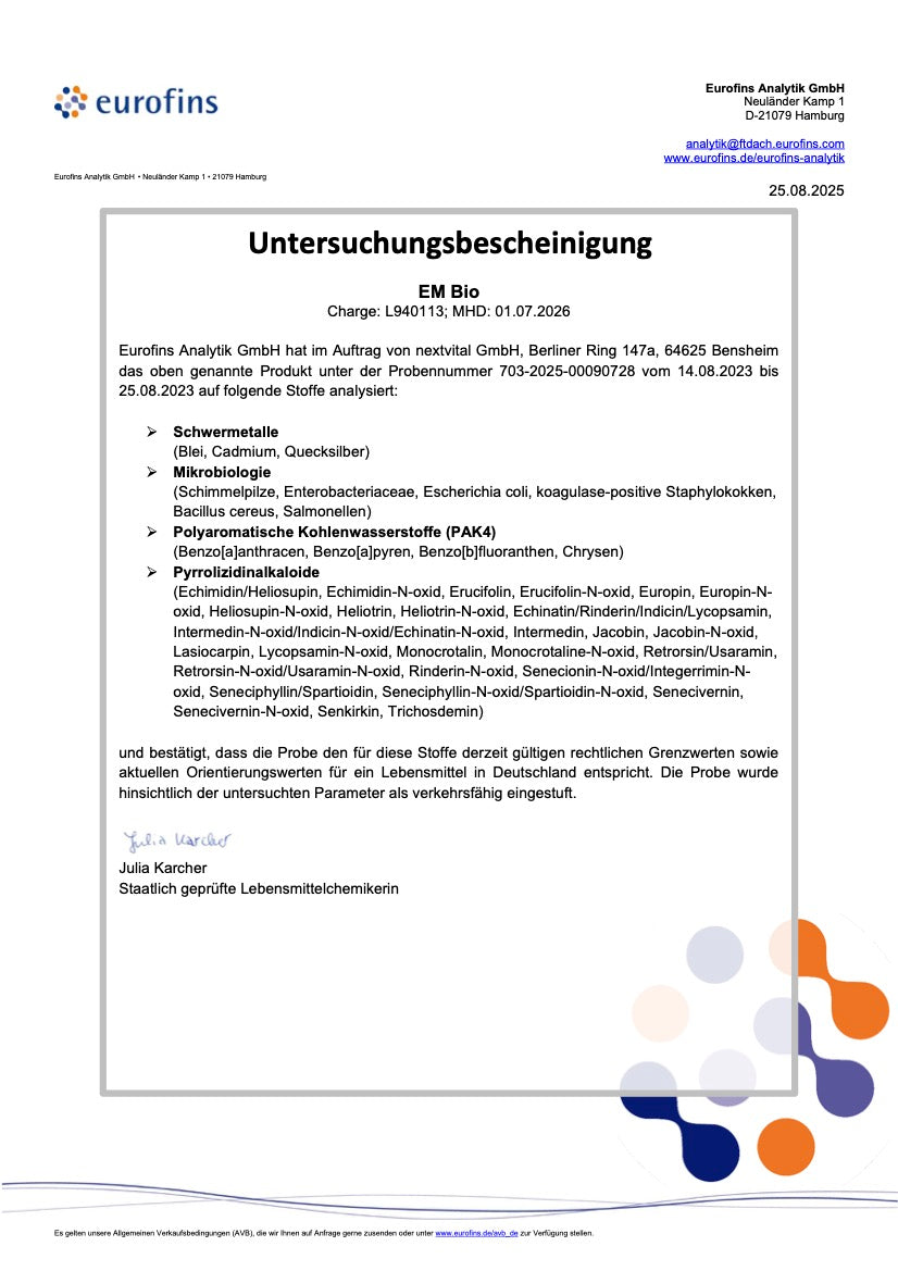 Untersuchungsbescheinigung
