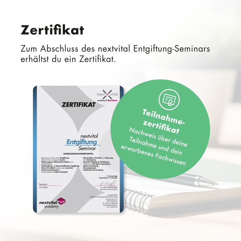 Entgiftungs-Seminar