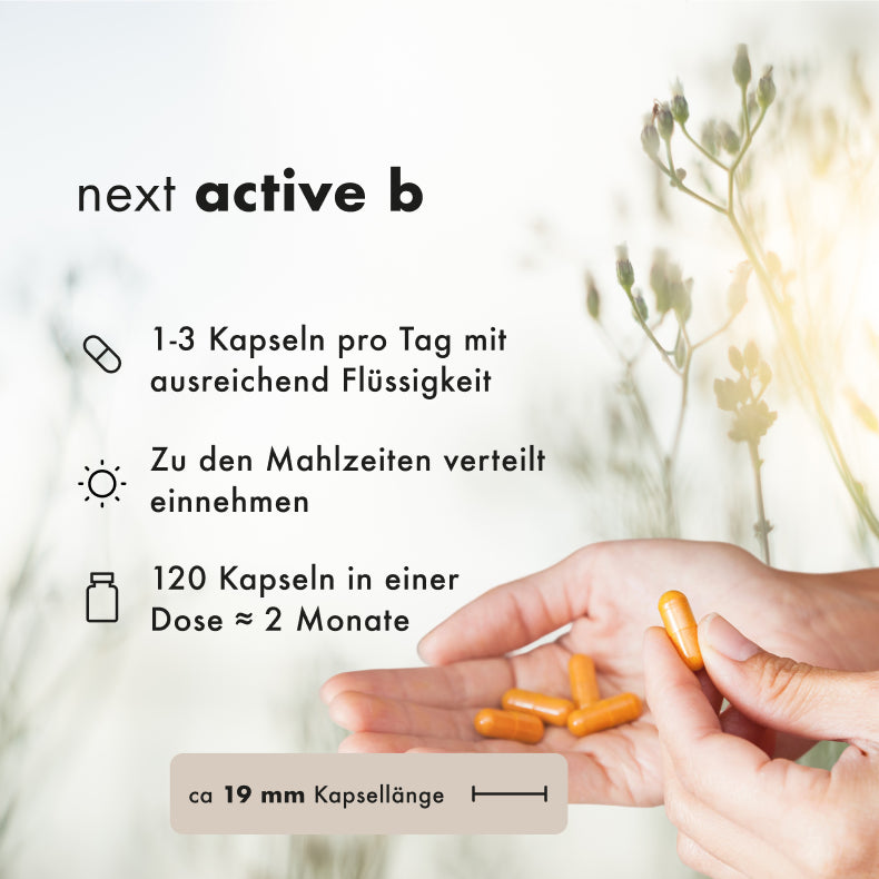 next active b, 180 vegane Kapseln