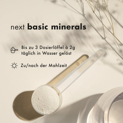 next basic minerals, 323 g
