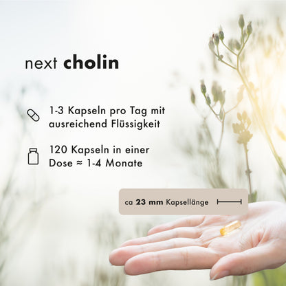 next cholin, 120 vegane Kapseln