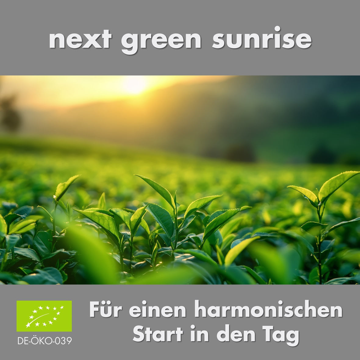 next green sunrise - Bio-Teemischung, 100 g