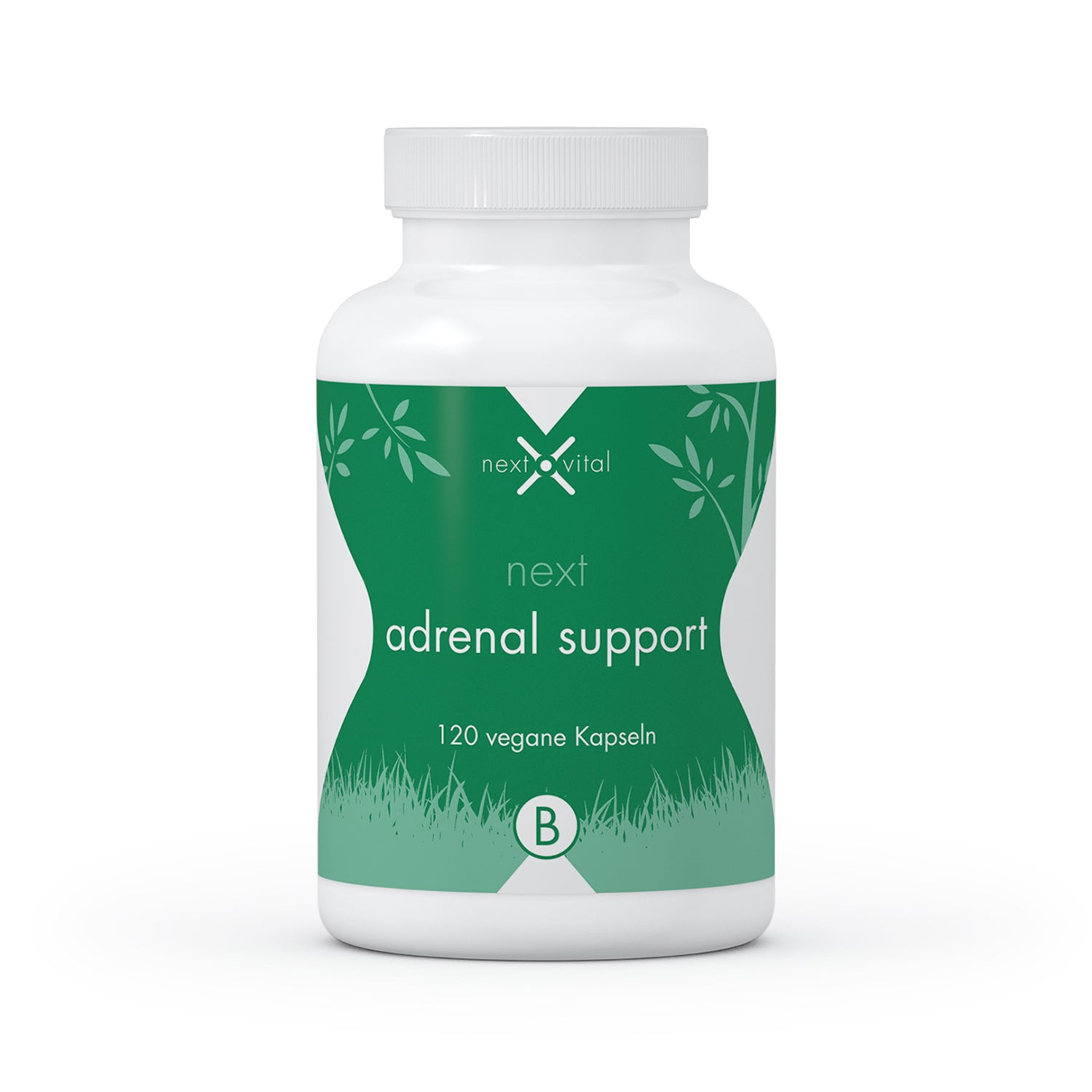 next adrenal support Fokus und Anti-Stress Komplex, 120 vegane Kapseln