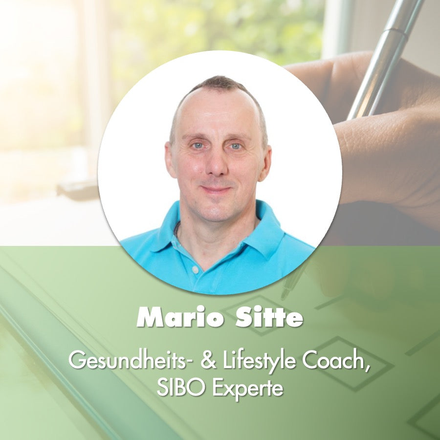 quick check up - Mario Sitte