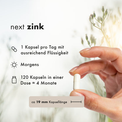 next zink, 120 vegane Kapseln