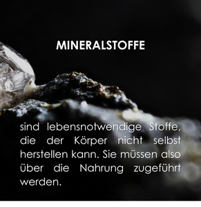 next basic minerals, 303 g