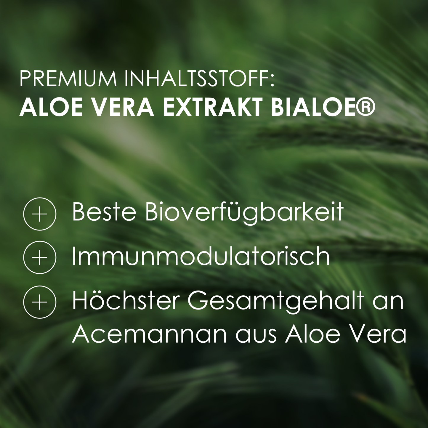 Premium Inhaltsstoff - Aloe Vera Extrakt BiAloe®