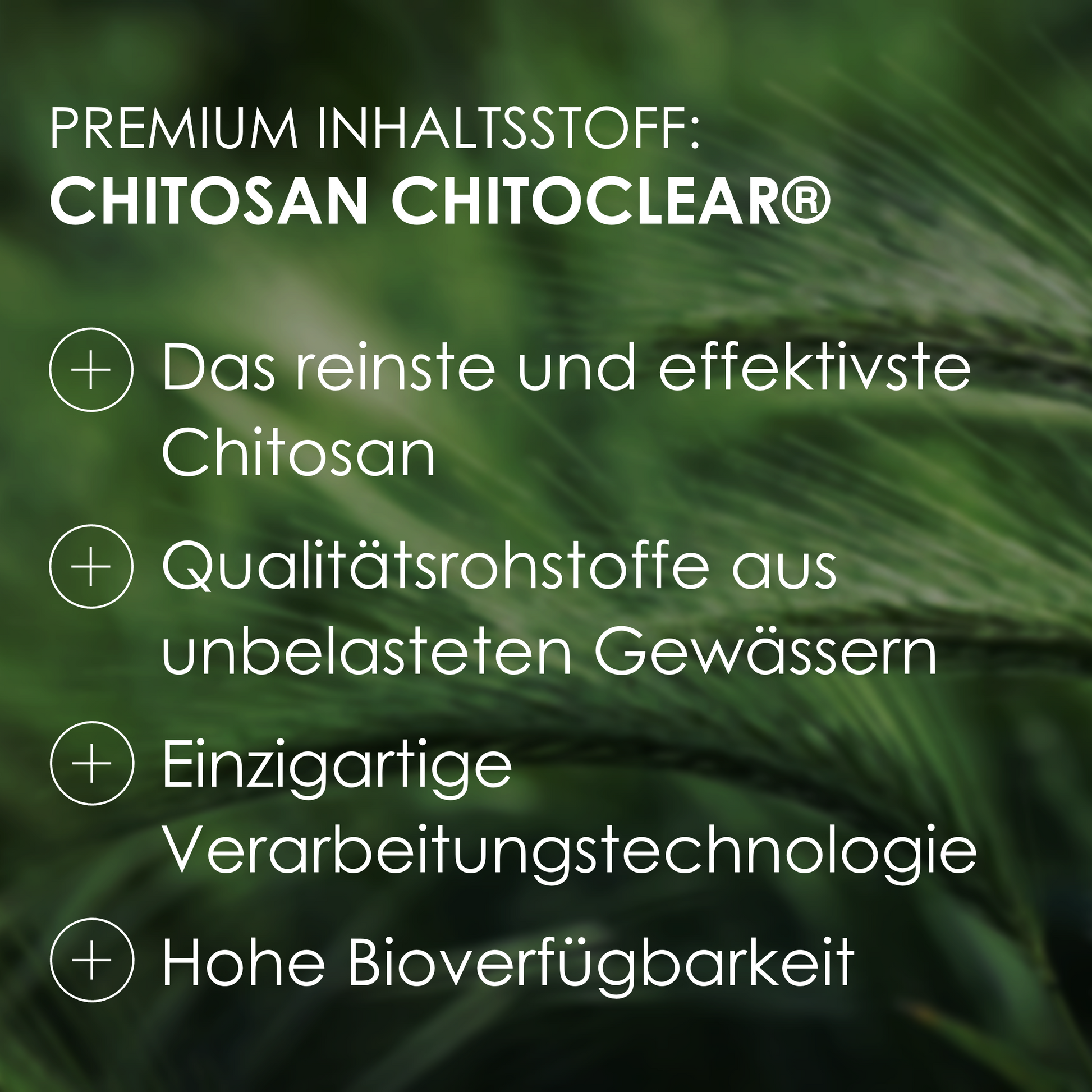 Premium Inhaltsstoff - Chitosan Chitoclear