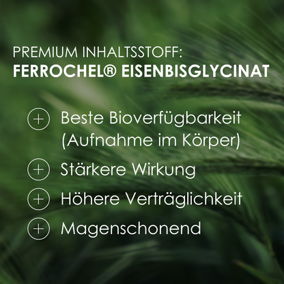 Premium Inhaltsstoff: Ferrochel Eisenbisglycinat
