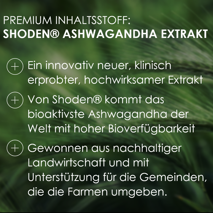 Premium Inhaltsstoff - Shoden Ashwagandha Extrakt