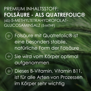Premium Inhaltsstoff Folsäure Quatrefolic