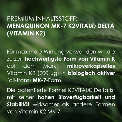 Vitamin K2 Premium Inhaltsstoff